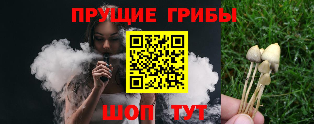 Зеленокумск  Псилоцибиновые грибы Psilocybine cubensis  Галлюциногенные грибы MAGIC MUSHROOMS  Вход с VPN 